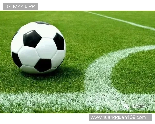 足球魅力无穷：从草根到世界杯，解析全球足球文化与发展历程